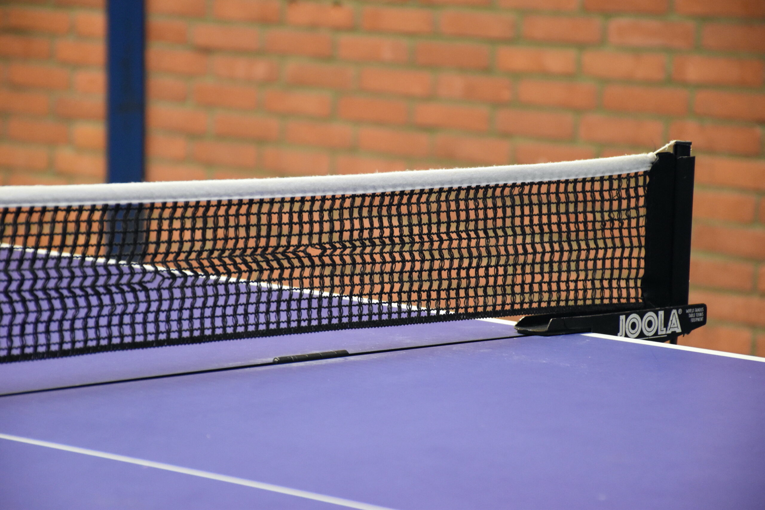 header image 4
